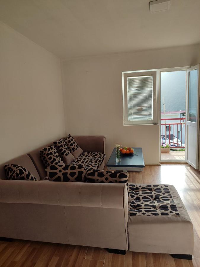 Apartment Pantovic Plužine Exteriér fotografie