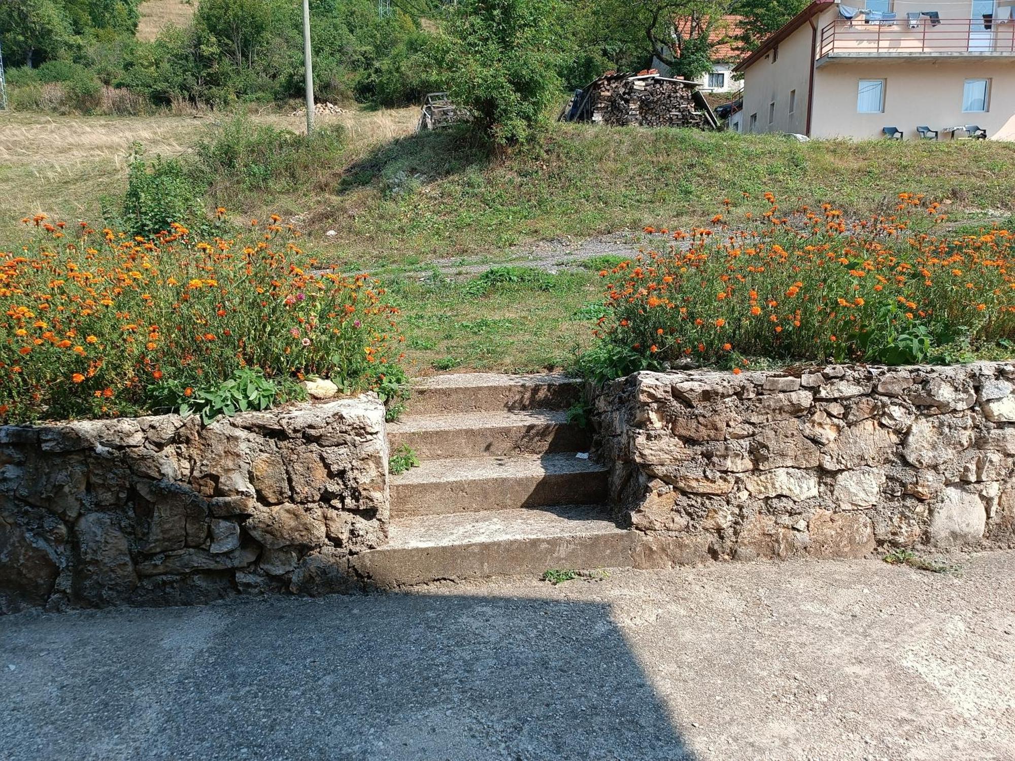 Apartment Pantovic Plužine Exteriér fotografie